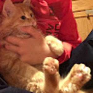 Meet your Posher, Eli